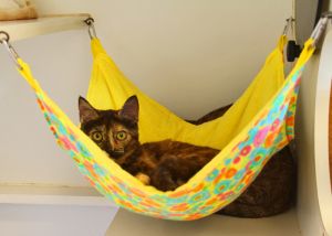 Diy Cat Hammock, Katt Diy, Pet Hammock, Cat Cages, Cat Hammock, Cat Enclosure, Animal Room, Cat Condo, Costume Diy