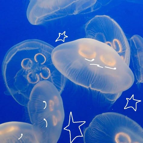 moon jellyfish ☆★ Jellyfish Pfp Aesthetic, Cute Jellyfish Pfp, Jellyfish Icons For Apps, Moonjelly Fish, Jellyfish Widget, Jellyfish Pfp, Silly Jellyfish, Ocean Pfp, Jellyfish Oc