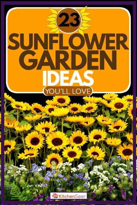 Sunflowers Planting Ideas, Sunflower Garden Ideas, Perennial Sunflower, Mammoth Sunflower, Types Of Sunflowers, Green Backyard, Growing Sunflowers, Planting Sunflowers, Backyard Flowers