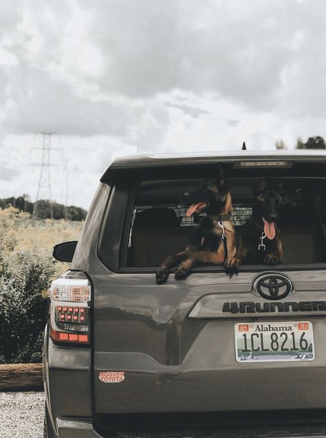 4runner Toyota Belgian malinois adventure 4 Runner Toyota Aesthetic, Four Runner Aesthetic, Toyota 4runner Aesthetic, 4 Runner Aesthetic, 4runner Aesthetic, 4 Runner, Toyota 4runner Interior, Toyota Four Runner, Toyota Runner