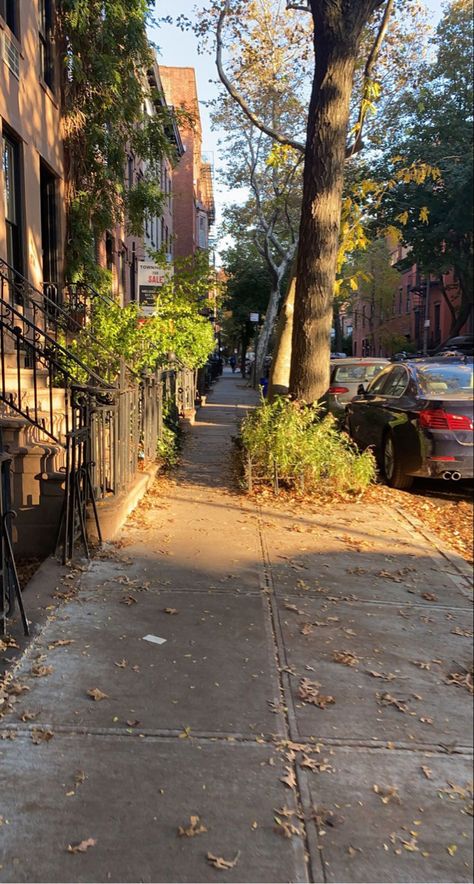 nyc aesthetic brooklyn Houses In Brooklyn New York, New York City Neighborhoods, The Bronx New York Aesthetic, Bronx Nyc Aesthetic, Bronx New York Aesthetic, Brooklyn Ny Aesthetic, Bronx Aesthetic, Small New York Apartment Aesthetic, New York Sidewalk