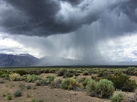 8 games for weather patterns, based on NGSS standards. Engage students with curricula games on the water cycle and weather patterns. Dragons Edge, Storm Photography, Earth And Space Science, Water Resources, Earth From Space, Vintage Poster Art, Disney Films, Desert Landscaping, Landscape Photos