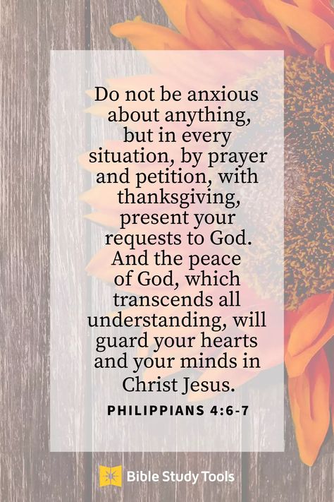 Encouraging Bible Quotes, Philippians 4 6, Bible Stuff, Inspirational Verses, Peace Of God, Bible Study Tools, Daily Verses, Philippians 4, Favorite Bible Verses