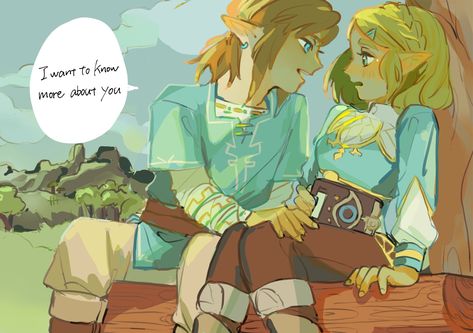 Link X Zelda, Age Of Calamity, Zelda Fanart, Legend Of Zelda Botw, Legend Of Zelda Art, Zelda And Link, Link And Zelda, Ben Drowned, Hyrule Warriors