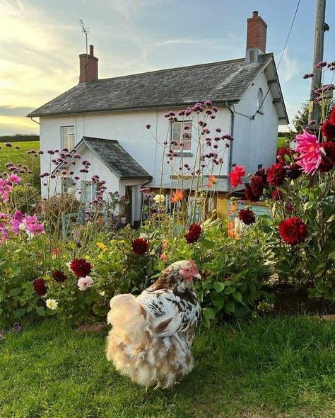 Charming Cottages and Gardens 🍃🌹 | Country Cottage ☘️🥀🐦🌿🐓 | Facebook Cottage Core Garden, Country Cottage Homes, Aesthetic Cottage, Cottage Farm, Farmhouse Primitive, Farm Cottage, Cottage Life, Dream Cottage, Cute N Country