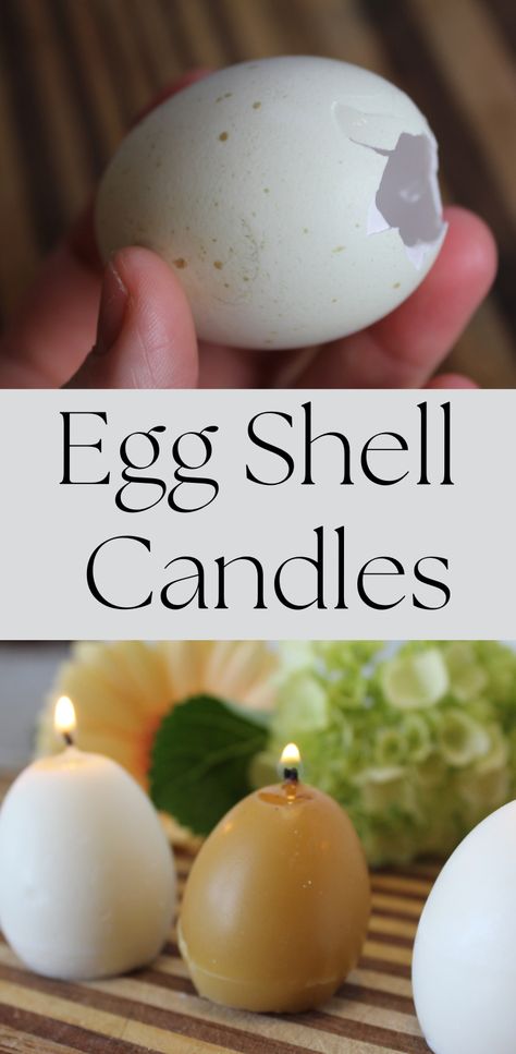 Beeswax and soy wax candles made using old egg shells. Tutorial with video included. Craft For Spring, Egg Candle, Shell Candles, Spring Craft, Egg Shell, Egg Crafts, Fun Craft, Spring Easter, Easter Fun