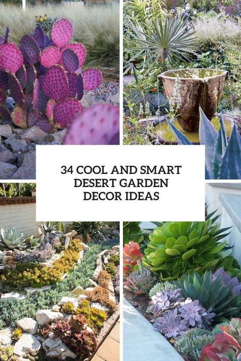 cool and smart desert garden decor ideas cover Texas Outdoor Patio Ideas, Desert Landscaping Plans Layout, Front Yard Cactus Garden, Desert Shade Plants, Arizona Succulent Garden, Cactus Patio Decor, New Mexico Backyard Ideas, Arizona Desert Garden, Cactus Garden Outdoor Landscape Design