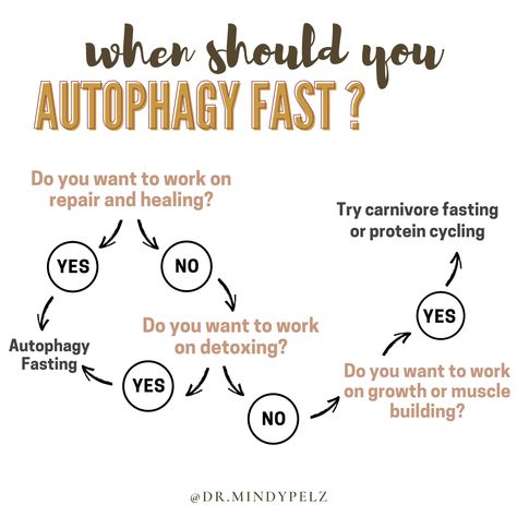 Autophagy Fasting, What Is Autophagy, New Year's Goals, Inflammation Diet, Dr Berg, Anti Inflammation, New Year Goals, Good Health Tips, Wellness Fitness