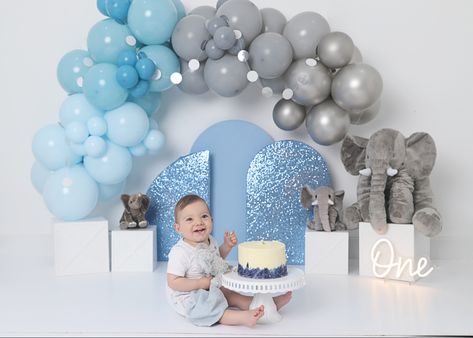 Elephant cake smash, First Birthday, blue and grey, ONE Baby Boy Cake Smash, Halloween Minis, Elephant Baby Boy, Elephant Cake, Baby Backdrop, 1st Birthday Pictures, Elephant Cakes, Smash Cake Boy, Baby Boy Cakes