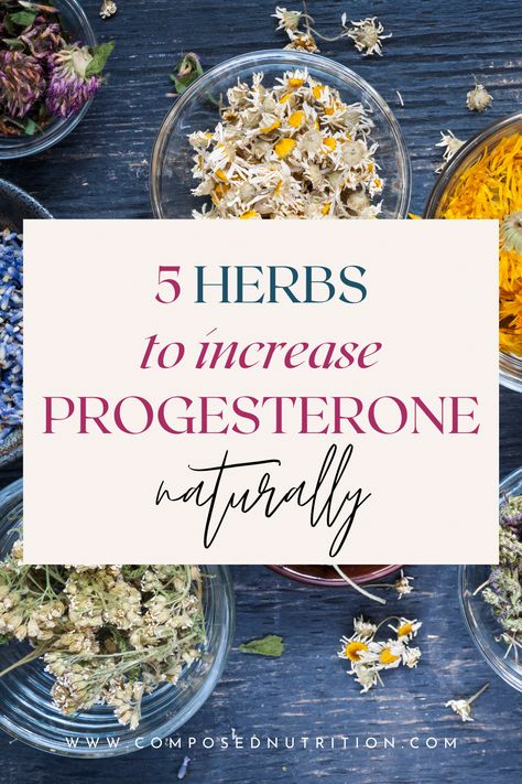 Lower Progesterone Levels, How To Improve Progesterone Levels, Low Progesterone Pregnancy, Progesterone Cream Benefits, Increase Progesterone Naturally, Increase Progesterone, Low Progesterone, Hormone Nutrition, Healthy Tortilla