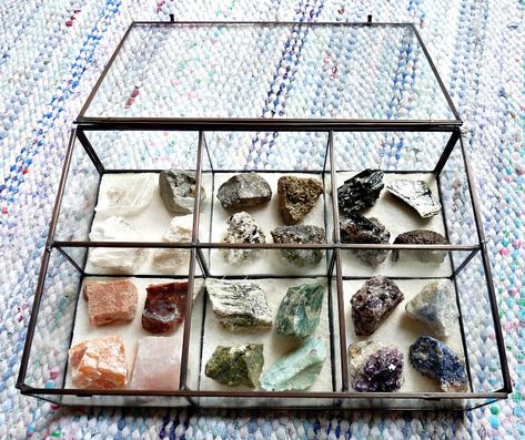 How to Stylishly Display a Small Rock Collection Crystal Display Ideas, Rock Collection Display, Rock Display, Collection Displays, Displaying Crystals, Glass Display Case, Diy Display, Crystal Display, Collection Display