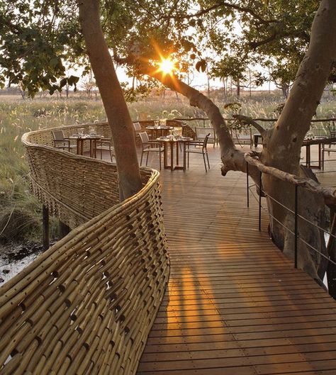 andBeyond Sandibe Okavango Safari Lodge, Botswana Winter Vacation Packing List, Kaffe Bar, Family Photo Outfits Summer, Botswana Travel, Winter Vacation Outfits, Lodge Ideas, Chobe National Park, Summer Country, Okavango Delta