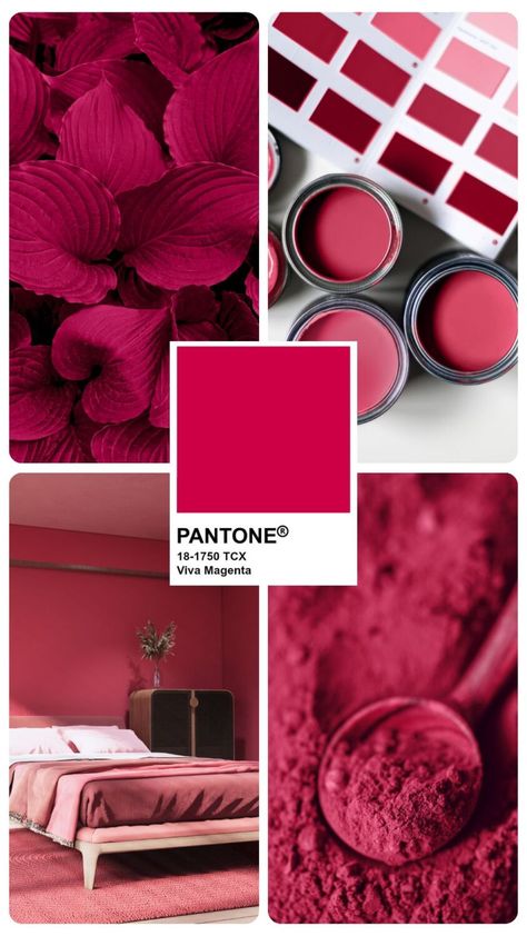 Viva Magenta Color Collage Pantone Viva Magenta 2023, Red Living Room Color Scheme, 2023 Color Of The Year, Pink Painted Walls, Summer Color Palettes, Pantone Trends, Fit School, Pantone Palette, Asian Paints