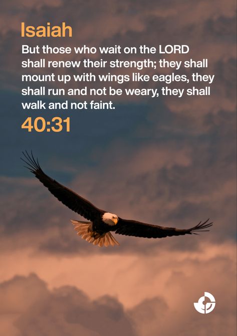 But those who wait on the LORD shall renew their strength; they shall mount up with wings like eagles, they shall run and not be weary, they shall walk and not faint. Mount Up On Wings Like Eagles, They Shall Mount Up With Wings As Eagles, Those Who Wait On The Lord, Mount Up With Wings Like Eagles, Eagle Bible Verse, Wait On The Lord, Throne Of Grace, Wings Like Eagles, Good Morning Sunshine Quotes