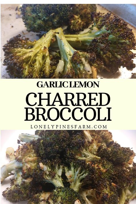 Broccoli Lemon, Charred Broccoli, Homestead Recipes, Seattle Restaurants, Picky Kids, Garlic Aioli, Cooking Homemade, Summer Cooking, Dehydrated Food