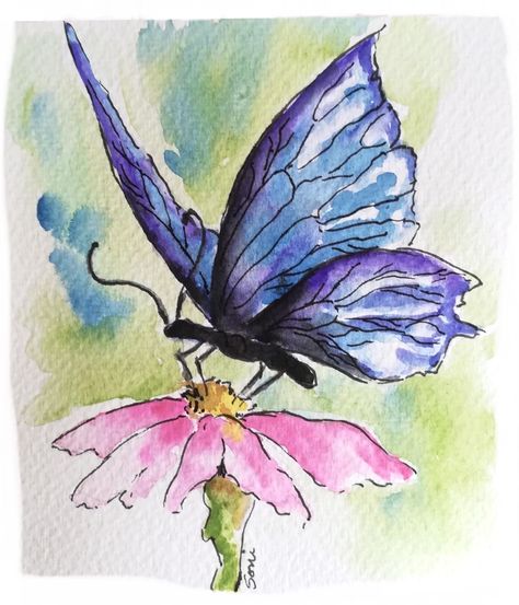 Watercolor Butterflies Painting Watercolour, Butterfly Watercolor Painting Easy, Watercolor Art Butterfly, Monarch Butterfly Watercolor, Watercolour Butterflies, Butterfly Watercolor Painting, Painting Clipart, Watercolour Butterfly, Butterflies Clipart