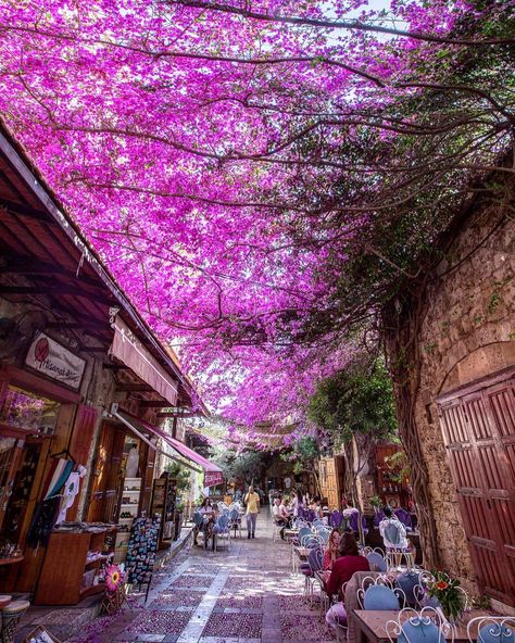 Lebanon, a travel destination on Instagram: “#byblos is 37 km away from Beirut with a population ... Just kidding !!! You don't need that from me, Google is way better in this. I will…” Lebanon Wallpaper Aesthetic, Lebanon Culture, Byblos Lebanon, Tourism Photography, Cafe Posters, Scenery Photography, City Vacation, Beirut Lebanon, Ancient City