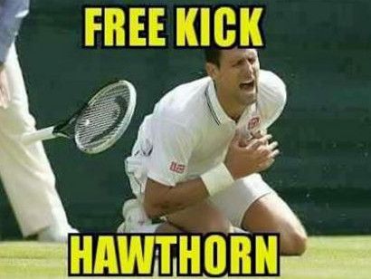 Novak Djokovic thinks he’s just won Wimbledon. Free Kick Hawthorn. Hawthorn Football Club, Digital Healthcare, Medical Consultation, Online Doctor, Free Kick, Football Memes, Hilarious Memes, Doctor Medical, Wimbledon