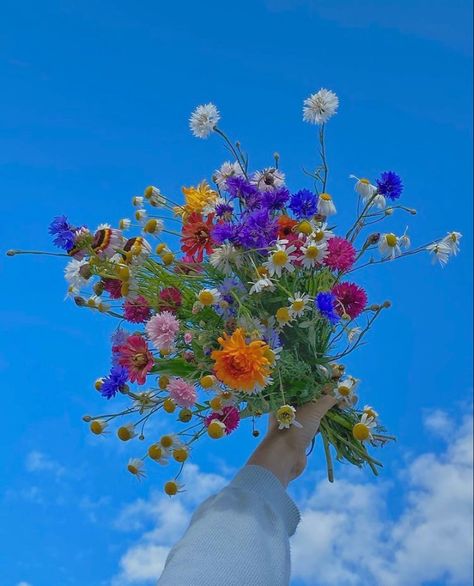 Bouquet Of Flowers, Instagram Photos, Flowers, Blue, Instagram