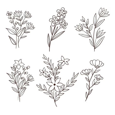 Free Vector | Hand drawn flower collection Flower Collection, Floral Clipart, Paper Flower Wall, Pretty Designs, Clipart Black And White, Hand Drawn Flowers, Vector Hand, Pen Art, Good Notes