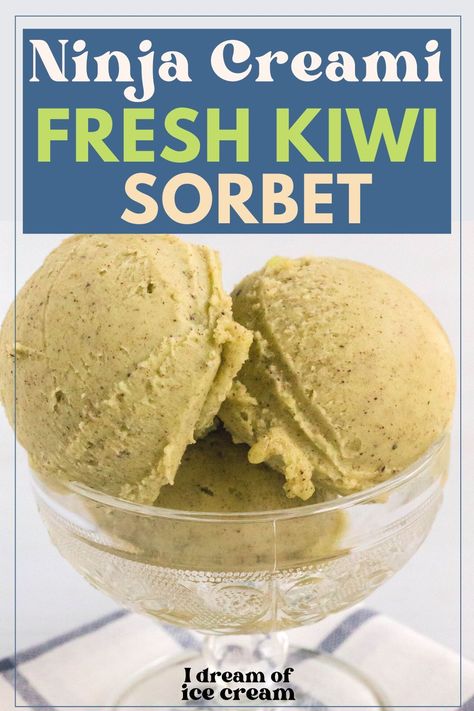 Transform fresh kiwi into a delicious frozen treat with this easy Ninja Creami kiwi sorbet recipe! Frozen Kiwi Recipes, Kiwi Sorbet Recipe, Kiwi Sorbet, Kiwi Ice Cream, Ninja Ice Cream Recipe, Kiwi Recipes, Sorbet Recipe, Canned Fruits, Making Homemade Ice Cream