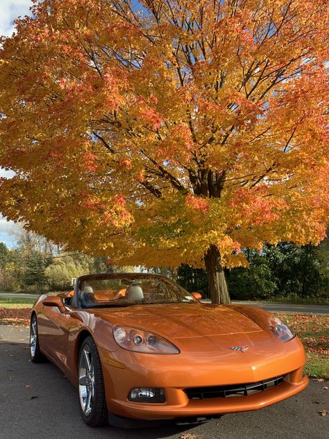 Atomic Orange 2008 Convertible in Upstate NY (Rochester) in Fall 2019 Orange Cars Aesthetic, Money Orange Aesthetic, Fall Car Aesthetic, Orange Car Aesthetic, Orange Cars, Persimmon Color, Orange Vans, Candy Car, Gas Money