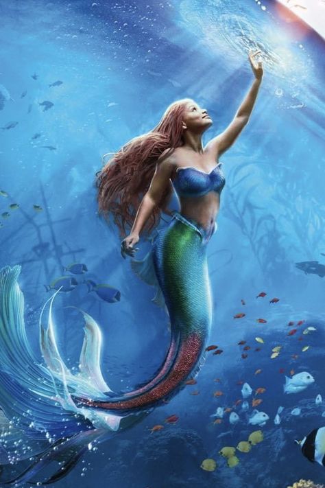 The Little Mermaid 2023 Box Office Floats to Over $300 Million in One Week! Mermaid Wallpaper Backgrounds, The Little Mermaid 2023, Little Mermaid 2023, Little Mermaid Wallpaper, Little Mermaid Live Action, Disney Live Action Movies, Ariel Little Mermaid, Amagi Brilliant Park, Best Wallpaper Hd