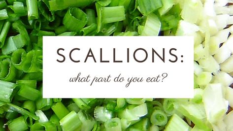 What Part of the Scallion Do You Eat? Cold Soup, Did You Eat, Delicious Meals, Healthy Eats, Green Onions, Creative Food, Food Dishes, Celery, Soup Recipes