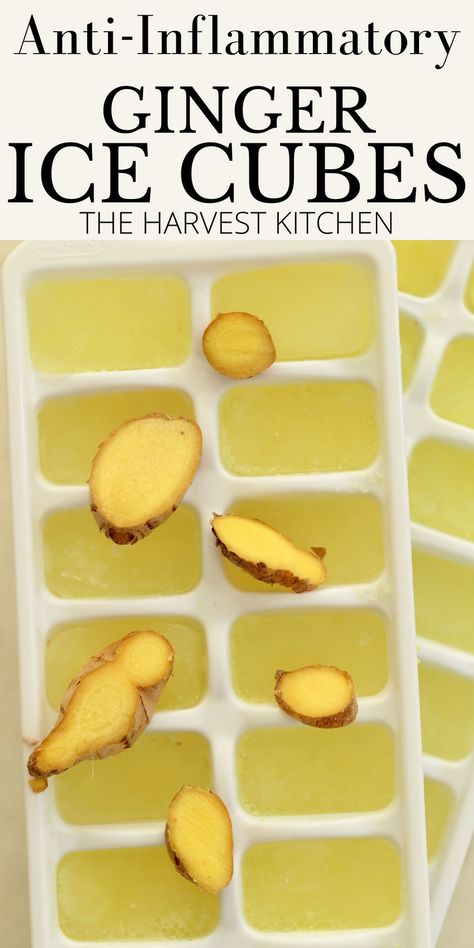 Ginger Ice Cubes, Ice Cubes Recipe, Ice Cube Recipe, Ginger Shots, Anti Inflammation Recipes, Harvest Kitchen, Ice Blocks, The Harvest, Smoothie Drinks