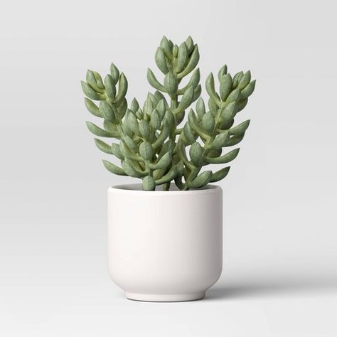 Artificial Succulent Plant - Threshold™ Small Fake Plants Decor, Fake Room Plants, Cute Plants For Bedroom, Cozy Shelf Decor, Sage Green Decor Bedroom, Greenery Room Decor, Light Green Plants, Target Room Decor, Plants For Room