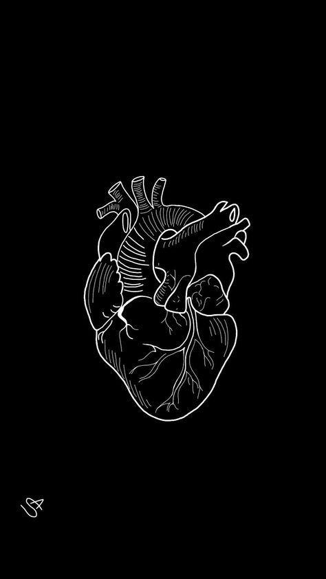 Heart Drawing Black And White, Heart Drawing Wallpaper, Drawing Black And White, Drawing Wallpaper, White Drawing, Drawing Black, Heart Drawing, Black And White Art, Human Heart