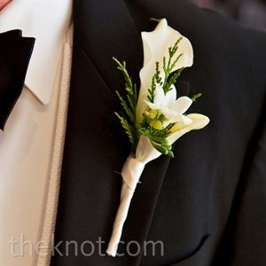 White Calla Lilies Boutonniere White And Green Boutonniere, Lilly Boutonniere, Lilly Bouquet Wedding, Calla Lillies Wedding, Boutonniere Ideas, Green Boutonniere, Calla Lily Boutonniere, Wedding Boutonnieres, White Boutonniere