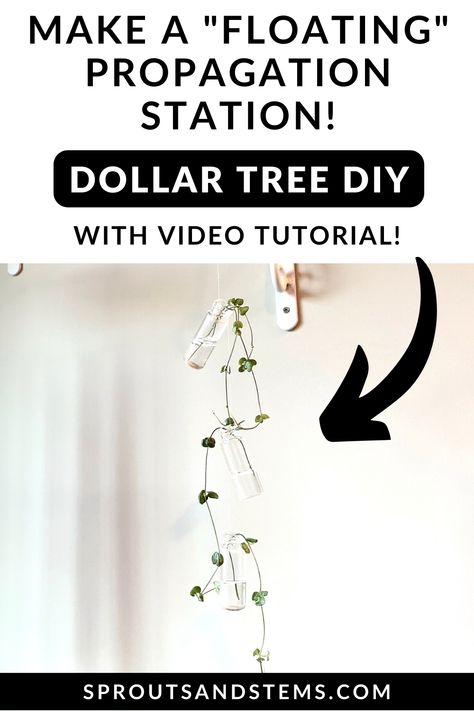 Learn how to make this easy propagation station that looks like it’s floating in the air! Diy Propagation Station Dollar Tree, Diy Plant Propagation Station, Propagation Station Diy, Diy Propagation Station, Plant Styling, Floating In The Air, Propagation Station, Plant Propagation, Plants Decor