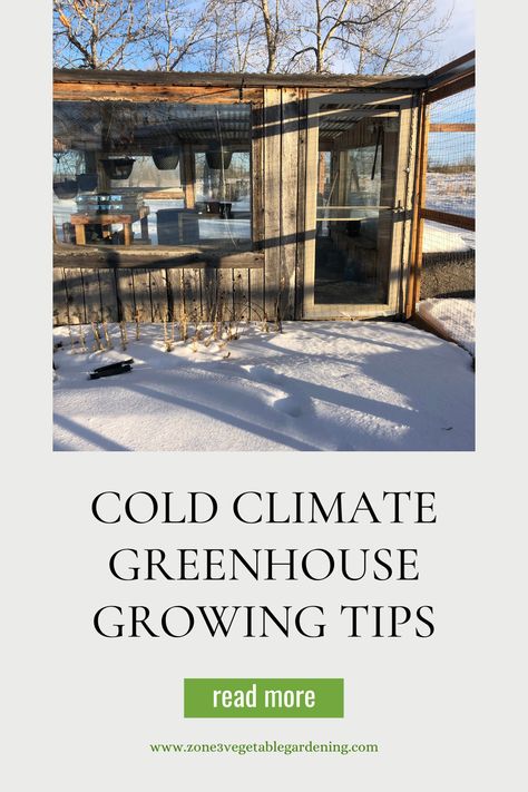 Check out what cold hardy seeds you can plant in your unheated greenhouse long before your last frost. These cold hardy seeds can be grown in any cold weather greenhouse. #canadiangreenhouse #greenhousegrowing #unheatedgreenhouse Diy Greenhouse For Cold Climate, Deep Winter Greenhouse, Cold Hardy Vegetables, What To Grow In A Greenhouse In Winter, How To Keep A Greenhouse Warm In Winter, Greenhouse Planting, Planting Dates, Ontario Winter, Permaculture Cold Climate