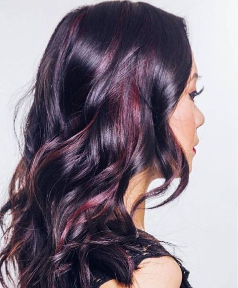 Dark Hair Red Highlights, Black Hair With Blue Highlights, Light Caramel Hair, Dark Burgundy Hair, Burgundy Highlights, Xavier Rudd, Short Hair Highlights, Black Hair Balayage, Red Brown Hair