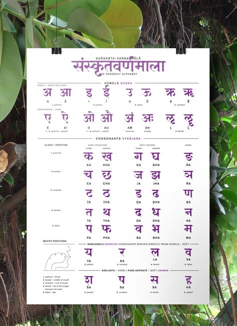 Sanskrit Alphabet Poster by Heidi Scholze, via Behance Sanskrit Alphabet, Philosophy Teacher, Sanskrit Grammar, Teaching Verbs, Hindi Alphabet, Sanskrit Language, Hindi Language Learning, Learn Hindi, Sanskrit Quotes