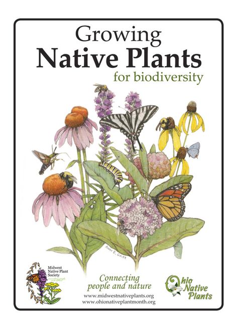 Midwest Native Plant Society - Ohio Plant Backyard, Pollinators Garden, Native Plant Garden, Native Plant Landscape, Keystone Species, Native Gardens, Plant Signs, Pollinator Plants, Flower Bed Designs