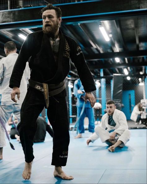 Conor Mcgregor Belts, Conor Mcgregor Training, Pinterest Breakfast, Ufc Training, Martial Arts Photography, Jiu Jitsu Fighter, Recipe Photography, Connor Mcgregor, Bjj Jiu Jitsu