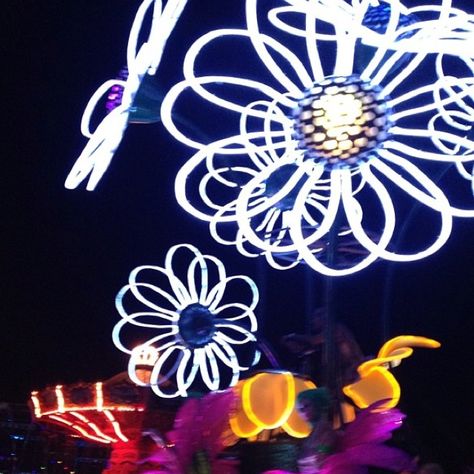 Electric Daisy Carnival 2012 Edc Vegas, Electric Daisy, Electric Daisy Carnival, Carnival Festival, Love And Light, A New Day, Glow In The Dark, Good Night, New Day