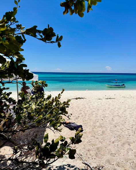 ✨THE MOST BEAUTIFUL PLACE IVE SEEN IN MY LIFE!!!!!✨ Bahia De Las Aguilas - Dominican Republic 🇩🇴🩵 September 30th 2024 Pt. 3 of the Barahona - Pedernales - Bahia De Las Aguilas Journey! Gosh, where do I start?!?! You guys, this place was magical!!!! That whole area of pedernales is untouched. Meaning it’s a protected area, meaning there’s no one at this Bahia!!! We really had an ENTIRE BAHIA TO OURSELVES!!!!! 😭 On our way to where we decided do stay at Bahia, we did see one other perso... Beautiful Place, Most Beautiful Places, In My Life, Dominican Republic, My Life, Beautiful Places, Most Beautiful, Vision Board, Meant To Be