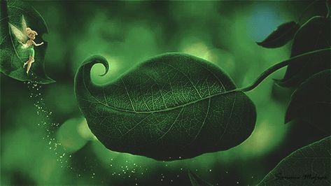 samme-mejias-tinker-bell-secret-of-the-wings-8.gif (500×281) Wallpapers For Watch, Tinker Bell Aesthetic, Never Fairies, Bell Aesthetic, Art Of Disney Fairies, Phone Gif, Peter Pan Aesthetic, Moon And Water, Pan Aesthetic