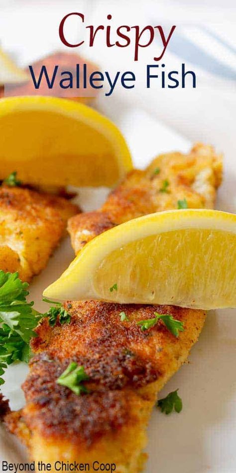 Grilled Walleye Recipes, Pickerel Recipes, Pan Fried Walleye, Fried Walleye, Grilled Walleye, Fresh Fish Recipes, Walleye Recipes, Frozen Fish Fillets, Walleye Fish