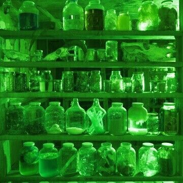 Green Gas Aesthetic, Green Lab Aesthetic, Science Green Aesthetic, Chemistry Green Aesthetic, Green Chemistry Aesthetic, Radium Aesthetic, Green Science Aesthetic, Acid Green Aesthetic, Radiation Aesthetic