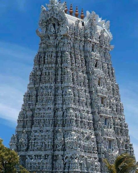 This temple is known for wonders like musical pillars, +1 lakh statues each with a tiny hole from one ear to another etc. zoom it to see details! The Thanumalayan / Suchindram Anjaneyar Temple in Kanyakumari, Tamil Nadu. The inscriptions of the temple dates back to 9th Century. Ancient Library, Temple India, Indian Temple Architecture, Temple Photography, Ancient Indian Architecture, Kanyakumari, Temple Architecture, Valley Of The Kings, Living Modern