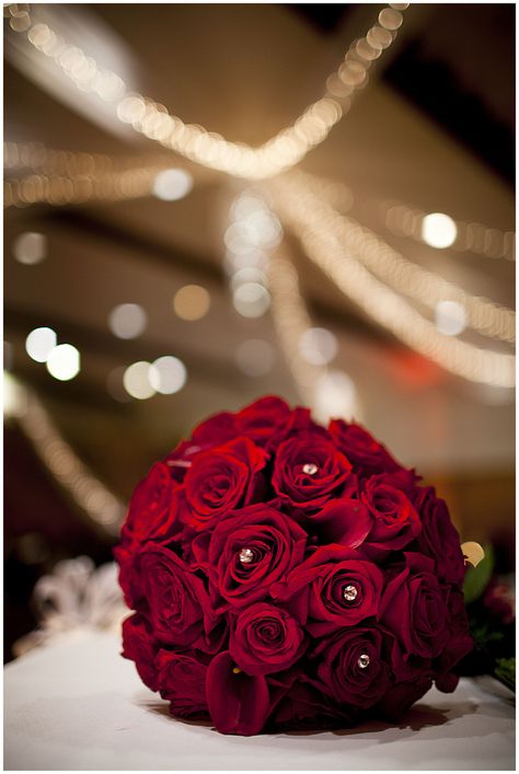 bouquet, bokeh from a wedding i shot    #bouquet #bokeh #wedding #dof #flowers #rose #love Rose Bokeh, Shot Bouquet, Girls Vampire Costume, Red Twig Dogwood, Twig Dogwood, Hand Flower, Pic Poses, Wedding Hands, Quince Ideas