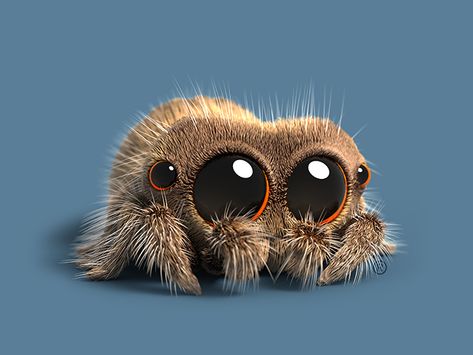 Kidscreen » Archive » CN & Boomerang crawl onto Lucas the Spider Cute Spider Cartoon, Lucas The Jumping Spider, Lucas Spider, Cartoon Spider, Cute Spider, Lucas The Spider, Spider Cartoon, Animated Spider, Spider Pictures