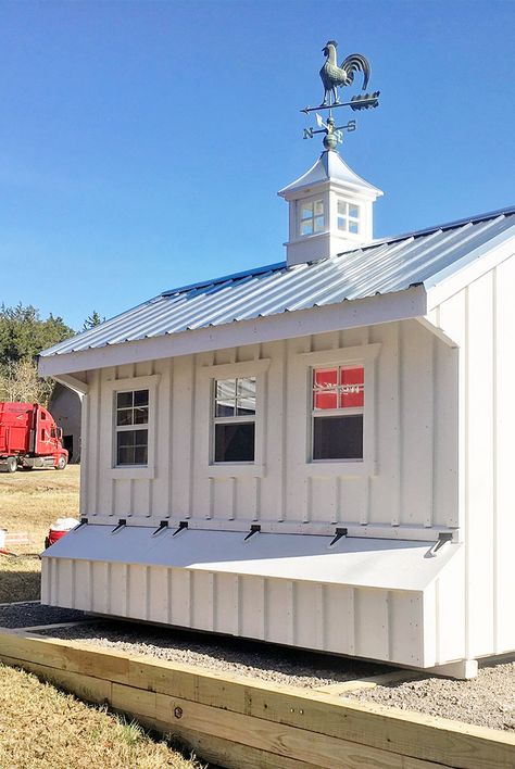 Custom Chicken Coop, Chapel Chicken Coop, Lifetime Shed Chicken Coop, White Chicken Coop, Rustic Chicken Coop, Old Shed Turned Chicken Coop, Large Chicken Coop Plans, Shed Conversion Ideas, Nashville Chicken