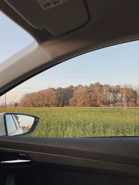 Spring landscape through the car's window. Roadtrip Playlist, Car Playlist, Photo Reel, Spring Landscape, Spring Photos, Car Photos, Spring 2024, Drive In, Car Window