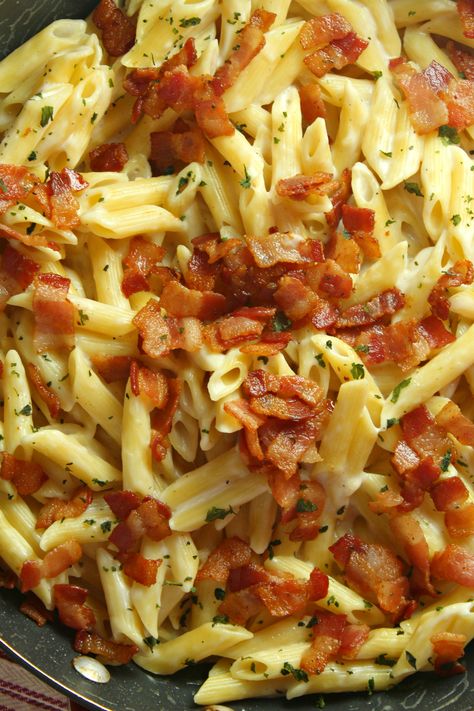 Alfredo Sauce With Bacon, Easy Pasta With Bacon, Bacon Alfredo Pasta Recipes, Pasta Bacon Recipes, Bacon Alfredo Pasta, Alfredo Dinner, Bacon Alfredo, Bacon Pasta Recipes, Bacon Recipes For Dinner