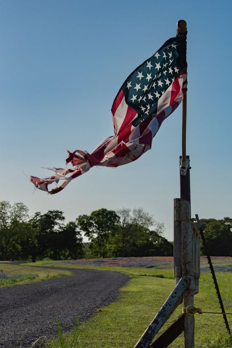 flag, Texas, USA, backlight Tattered Flag, Tattered American Flag, American Flag Waving, American Flag Photos, American Flag Wallpaper, Flag Photo, Blue Bonnets, Usa Flag, American Flag